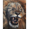 Lion Face (40 x 50 actual picture size)