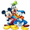 Micky, Donald & Goofy (50 x 50)