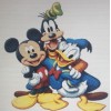 Micky, Donald & Goofy (50 x 50)