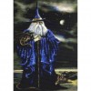 Grand Wizard (50 x 70 actual picture size)