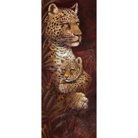 Leopards (20 x 50 actual ...