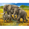 Elephant Family (40 x 50 actual picture size)