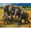 Elephant Family (40 x 50 actual picture size)