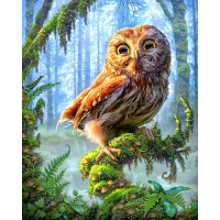 Baby Owl (40 x 50 actual ...